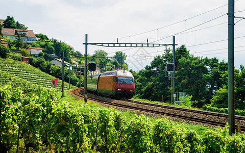 在瑞士LavauxOron区LavauxVineyard铁路图片