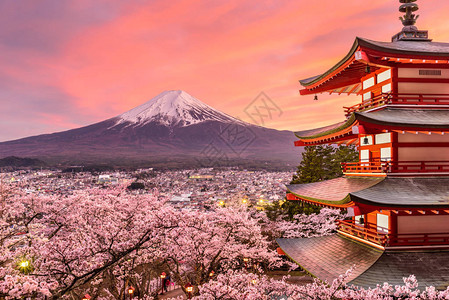 富士山和宝塔的春天图片