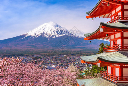 塔和富士的春天图片
