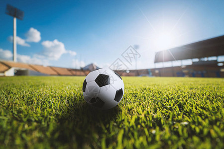 足球在足球体育场的草地上图片