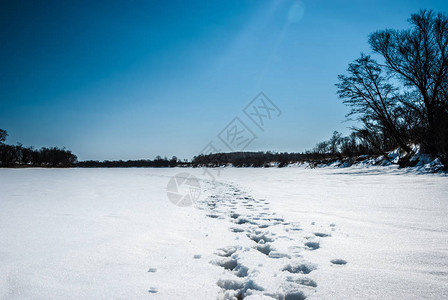 冬天的河流雪地上的脚印图片