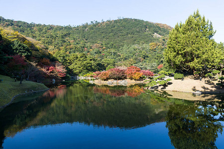 日本栗林美丽的公园图片