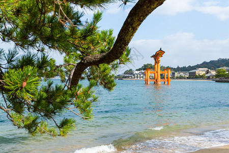 日本广岛的浮动牌坊图片