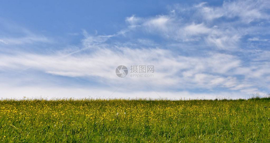 风景与美丽的春天草地和蓝天图片