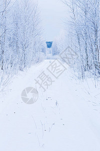 林间白雪皑的道路图片