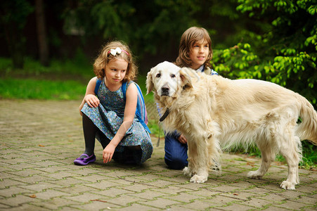 小学生在上学的路上遇到一只大狗善良的猎犬引起了孩子们的注意孩子们蹲在可背景图片