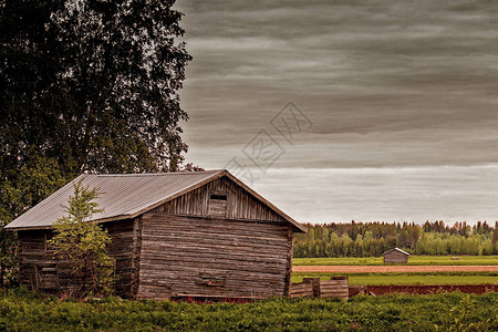 芬兰北部初夏田野上的旧谷仓那天非图片