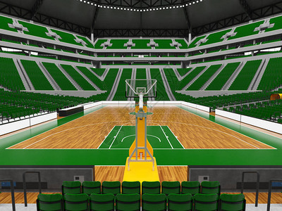 3D为20000名球迷提供优美的篮球体育场大灯贵宾图片