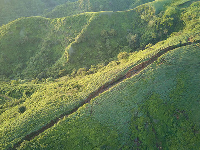 在日落光的绿色小山在视图上面自然绿色农村背图片