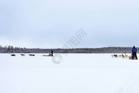 芬兰拉普兰Rovaniemi的冷冻冬季湖上图片