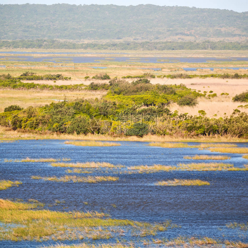 在南非洲池塘湖Isimagaliso自然保护区图片