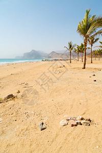 在沙滩附近的沙滩天空棕榈和山丘在背景图片