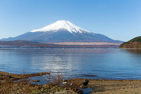 日本Yamana图片