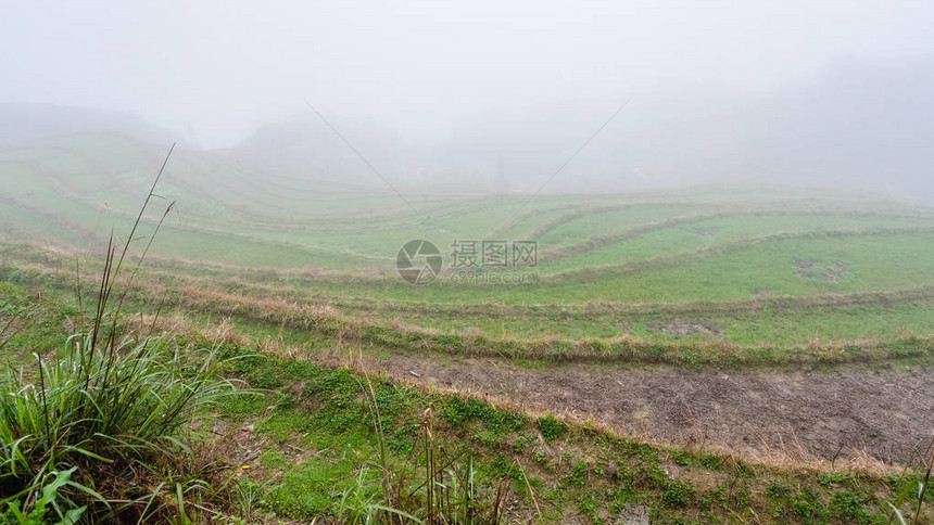 到旅游从春天的大寨龙胜梯田图片