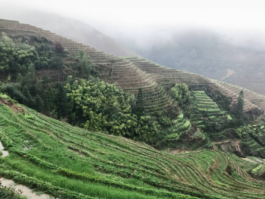 去旅行观景台附近的梯田图片