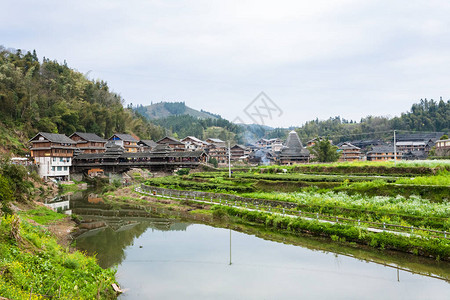 春季在三江东自治县成阳村的花园和大桥展出高清图片