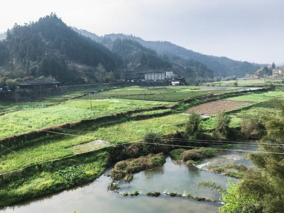春晚在三江东自治州成阳村河边的稻田查看背景图片