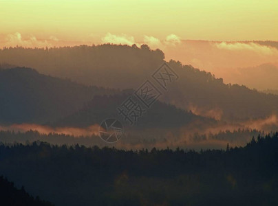 奇妙的红色觉醒朦胧美丽的山谷山峰从有雾的背景中伸出图片