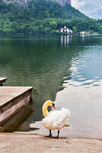 奥地利Hallstatt湖图片