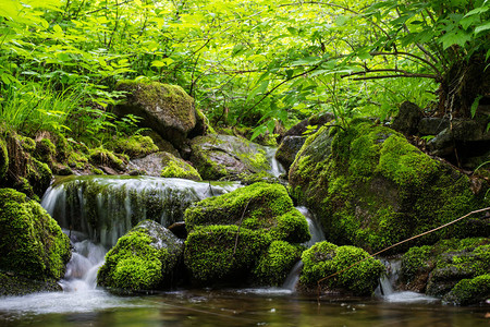 风景山河上的小瀑布壁纸绿色背景图片