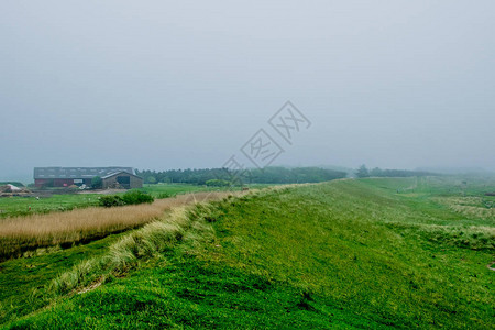 大雾环境的绿色大田图片
