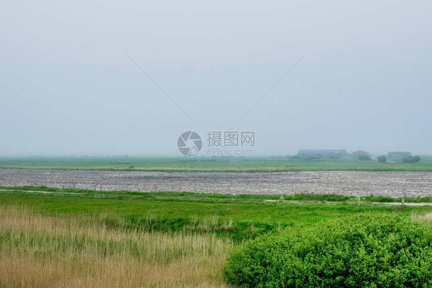 大雾环境的绿色大田图片