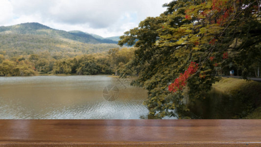 夏季公园中的森林湖泊山地和橙色孔雀花的景观图片