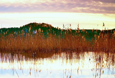 美丽的日出或日落湖水层反射图片
