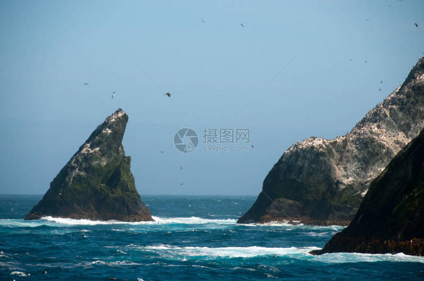 ShagRocks是南乔治亚州最西部的六个无人居住的小岛它们以南乔治亚帝国鸬鹚命名图片