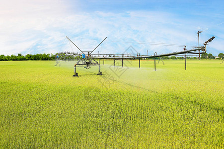 小麦田轮胎灌溉系统的灌溉系统农业图片