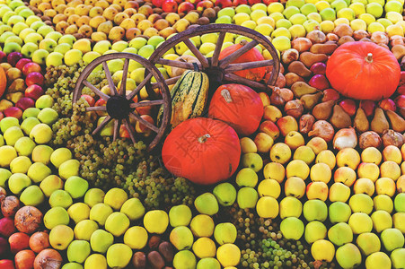 秋季水果和蔬菜博览会图片
