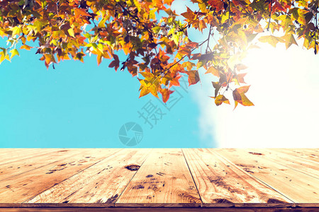 木桌顶部有美丽的秋天枫树在天空背景空的准备好您的产品展示或蒙太奇秋背景图片