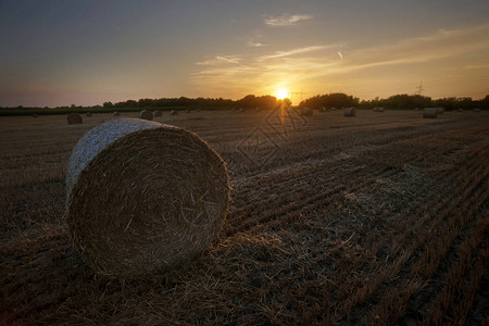 夕阳下的干草农田图片