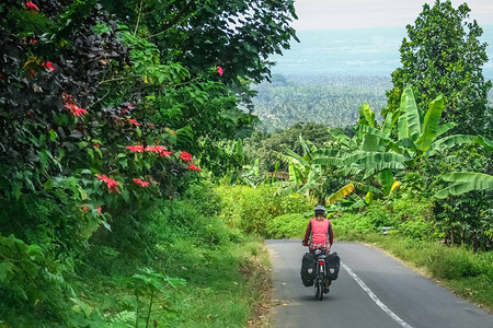 在印度尼西亚隆博克通过热带骑自行车的图片