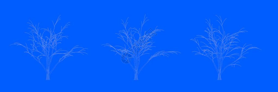 三棵树的3d渲染为蓝色背景上的线条背景图片