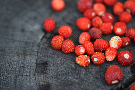 红草莓补丁图片