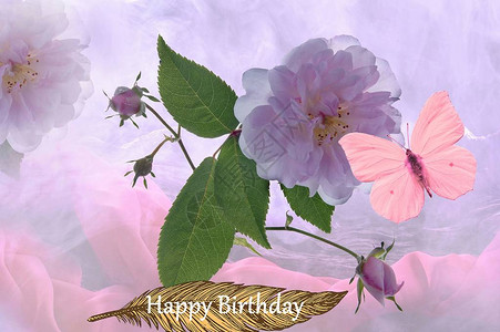 花与蝴蝶的生日快乐背景图片