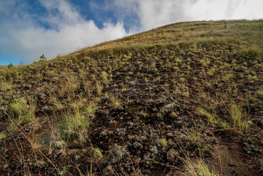 古农巴图尔火山金图片