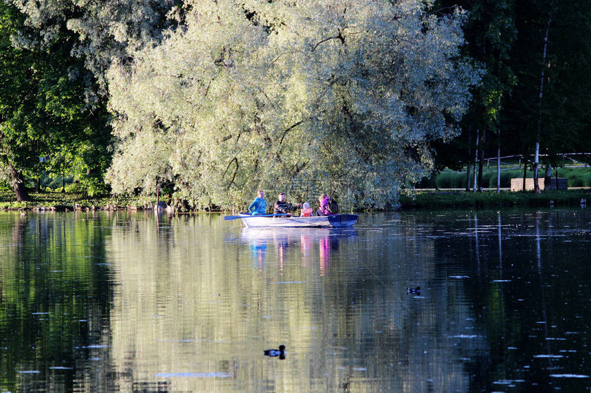 夏天的阳光照亮了加奇娜公园家庭在湖图片