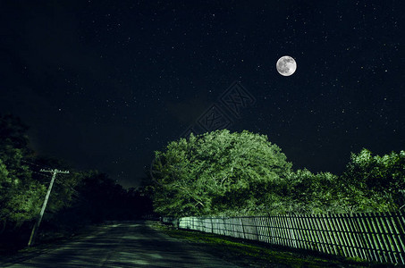 满月之夜穿过森林的山路图片