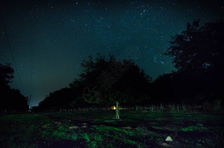 满月之夜穿过森林的山路图片