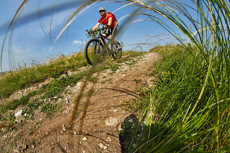 年轻的骑自行车者骑山地自行车在乡村美丽的夏日小径上图片