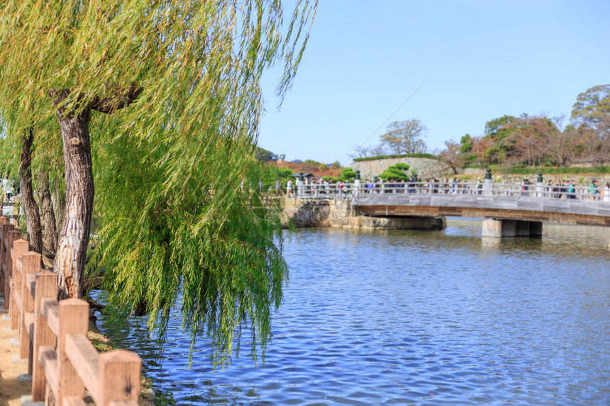和河边的柳树一起哭日本街道桥在图片