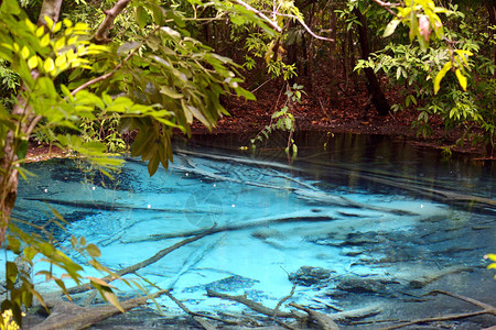 翡翠池是泰国Krabi红树林中图片
