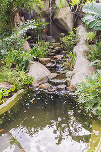 热带花园中的人造小瀑布图片