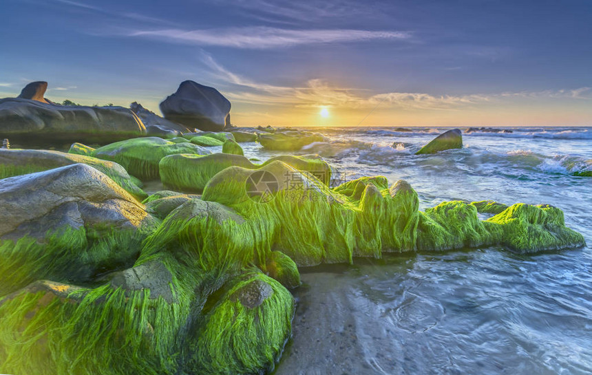 古代岩石的黎明覆盖着多彩天空的苔迎来海湾上图片