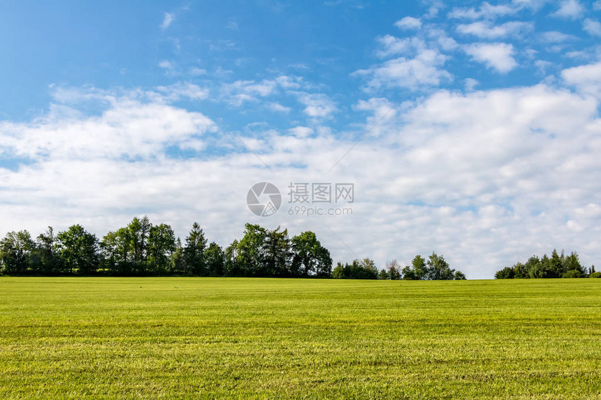 夏季极简主义景观图片