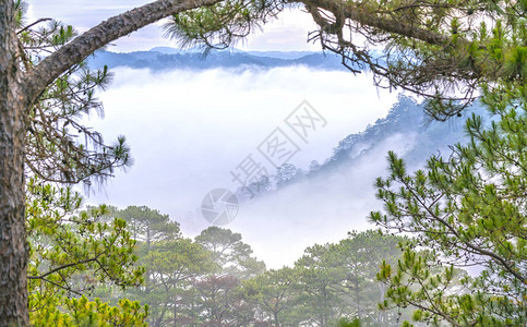 越南大拉特高原的Misty图片