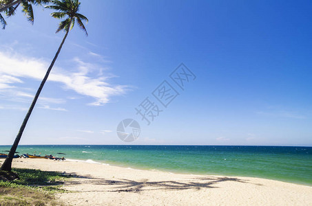 阳光明媚的热带沙滩蓝色天空和托盘海水旅行和度图片