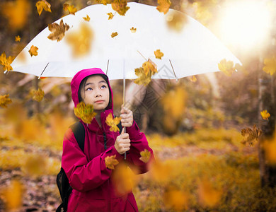 秋天园艺和落叶上带雨伞的图片